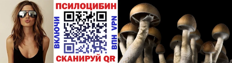 Галлюциногенные грибы MAGIC MUSHROOMS площадка наркотические препараты Барыш дарнет шоп
